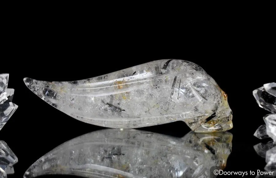 Black Tourmalinated Star Traveler Quartz Crystal Skull 'Traveling Space & Time'