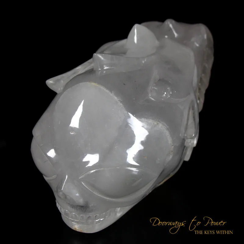 Dragon   Alien   Heart Alchemical Crystal Skull Sculpture