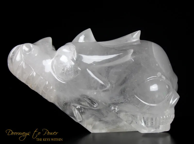Dragon   Alien   Heart Alchemical Crystal Skull Sculpture