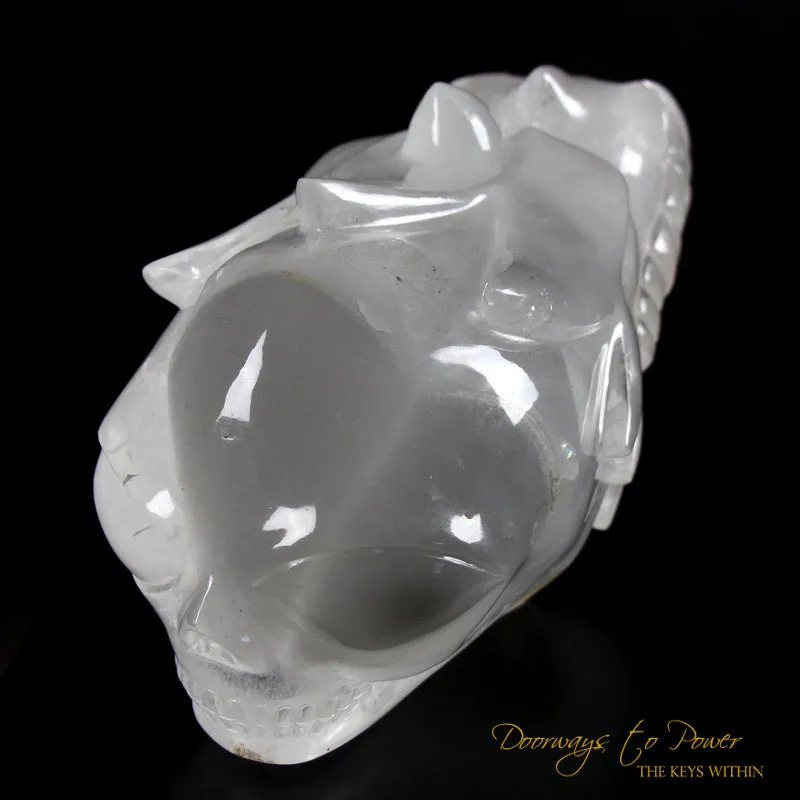 Dragon   Alien   Heart Alchemical Crystal Skull Sculpture