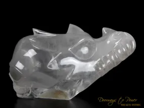 Dragon   Alien   Heart Alchemical Crystal Skull Sculpture