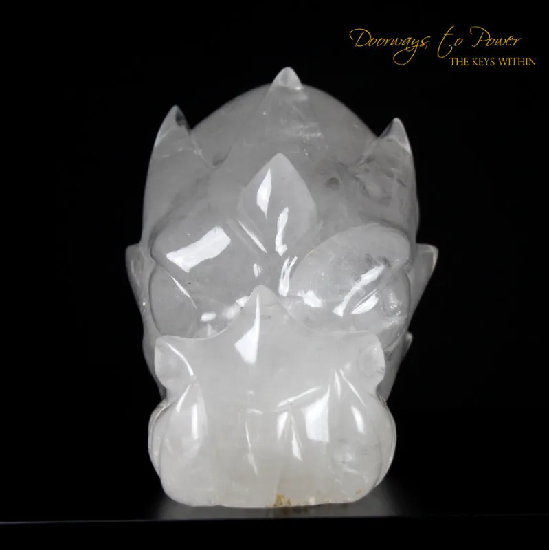 Dragon   Alien   Heart Alchemical Crystal Skull Sculpture