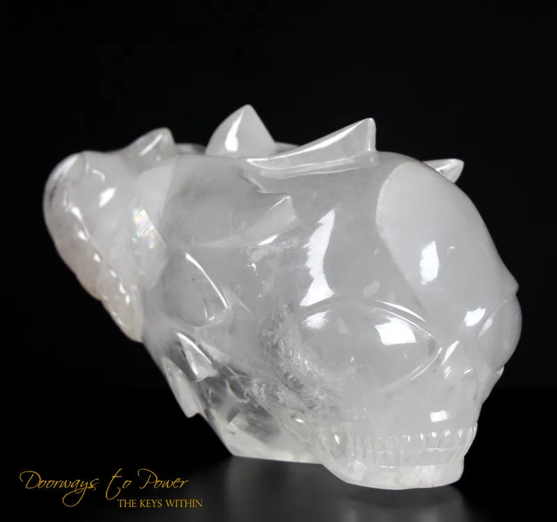 Dragon   Alien   Heart Alchemical Crystal Skull Sculpture