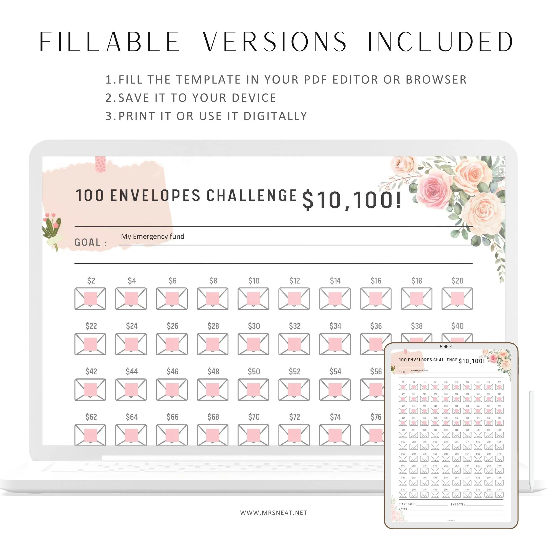 Saved $10,100 in 100 Envelopes Challenge - M016/17