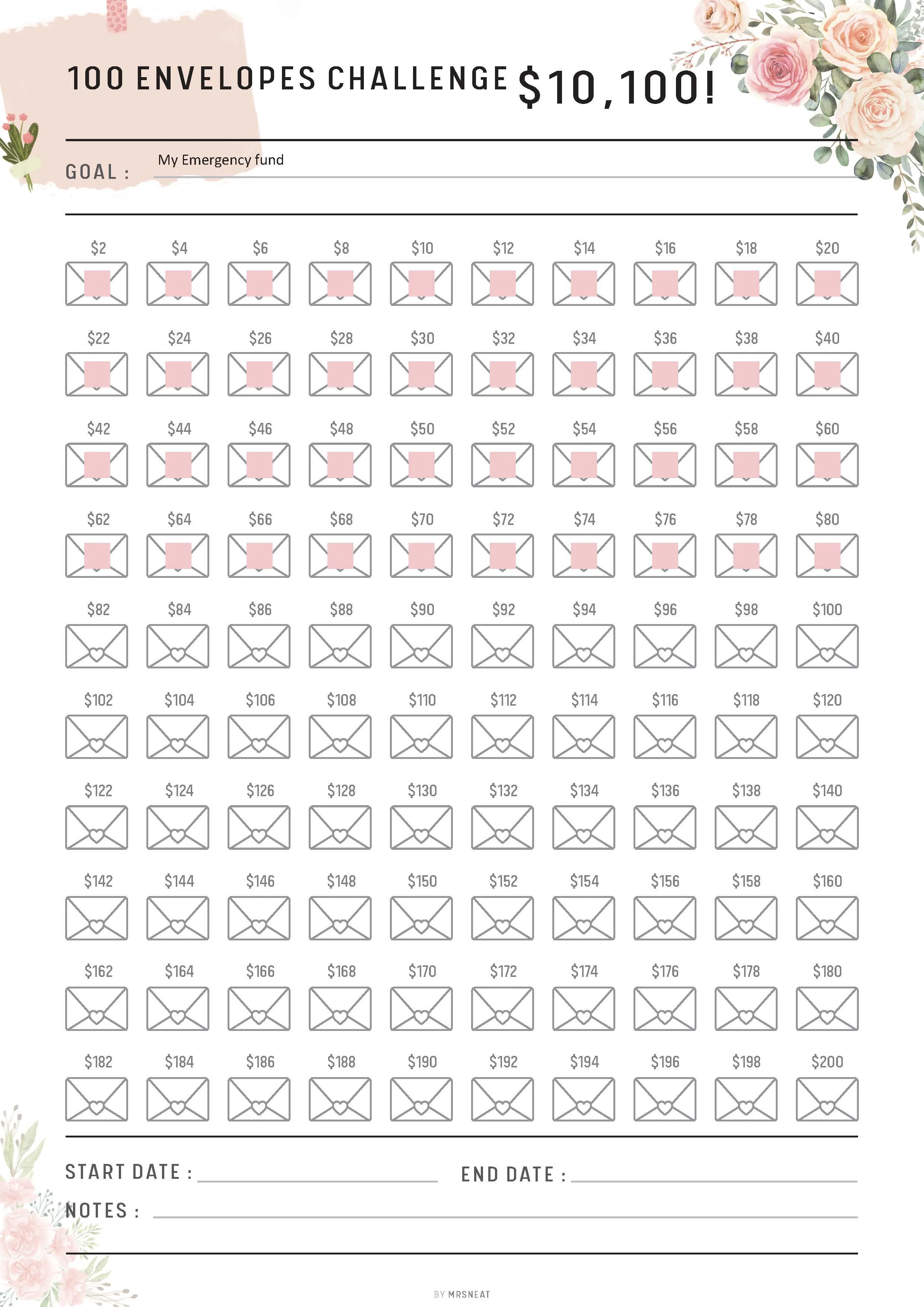 Saved $10,100 in 100 Envelopes Challenge - M016/17