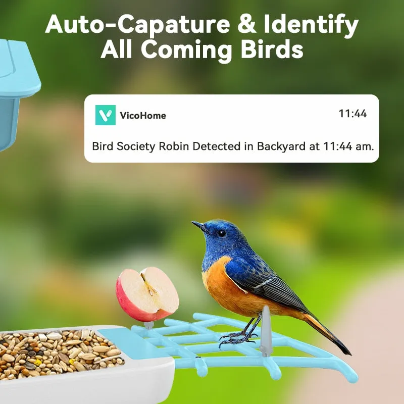 Smart Bird Feeder with Camera, Bird Watching Camera, Auto Capture Bird Videos & Motion Detection