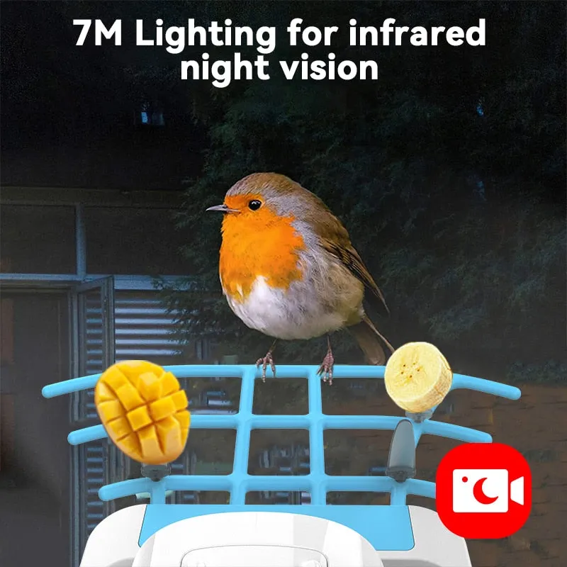Smart Bird Feeder with Camera, Bird Watching Camera, Auto Capture Bird Videos & Motion Detection