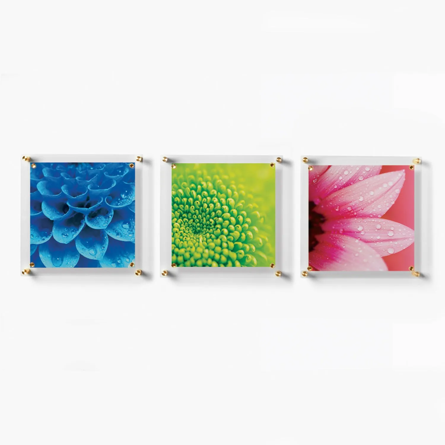 Trio: 3 Square 14" x 14" Single Panel   Magnets Frames for 12" x 12" Art (3001, 3001G)