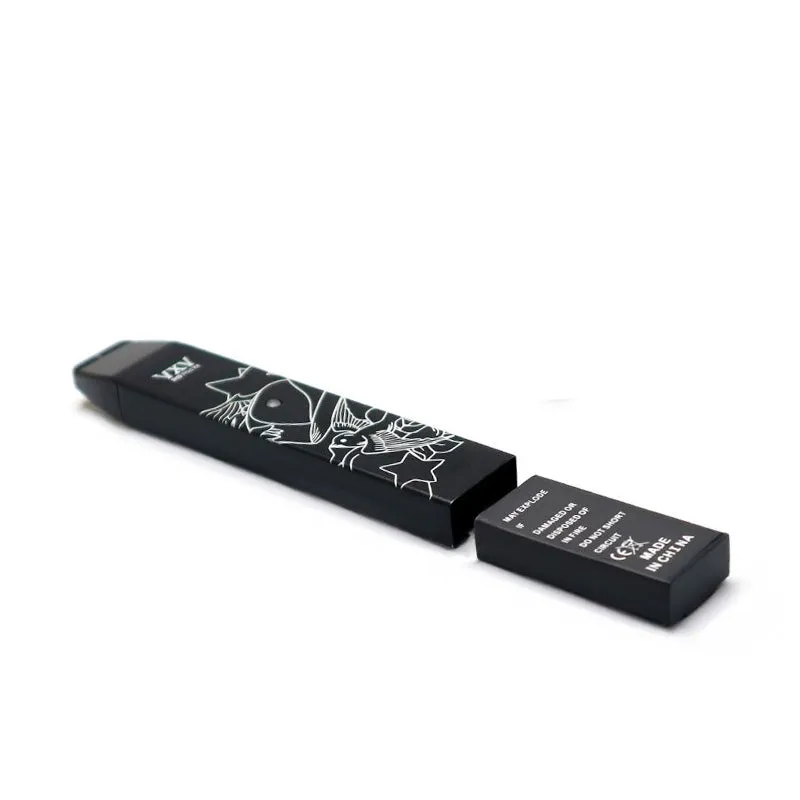 VXV RB Pod Kit 380mAh with Charging Dock